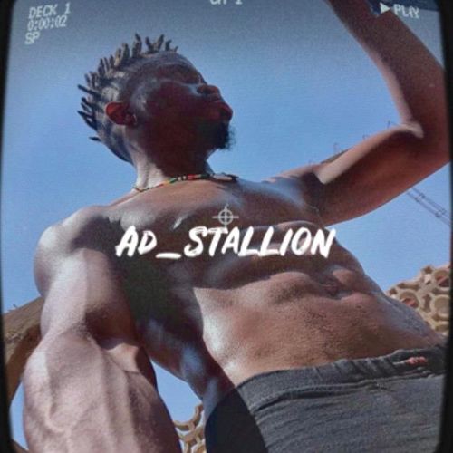 Ad_stallion MYM